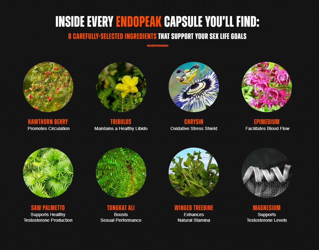 EndoPeak Reviews - Key Ingredients