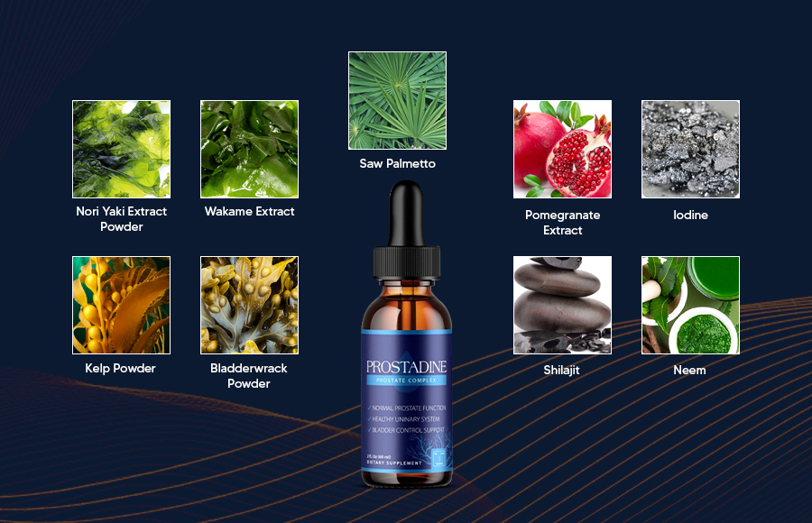 Key Ingredients of Prostadine