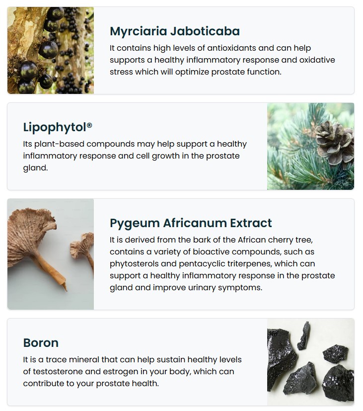 Total Control 24 (TC24) Reviews - Key Ingredients