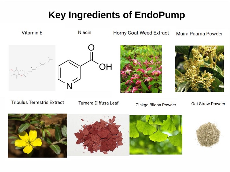 EndoPump Reviews - Key Ingredients