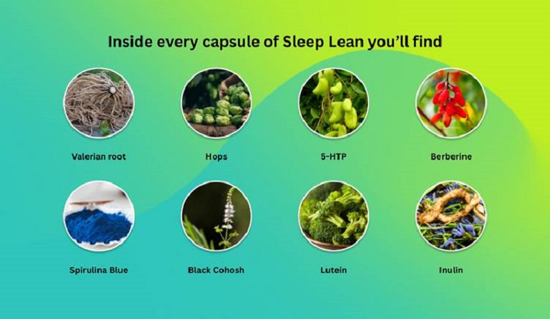 Sleep Lean Reviews - Key Ingredients