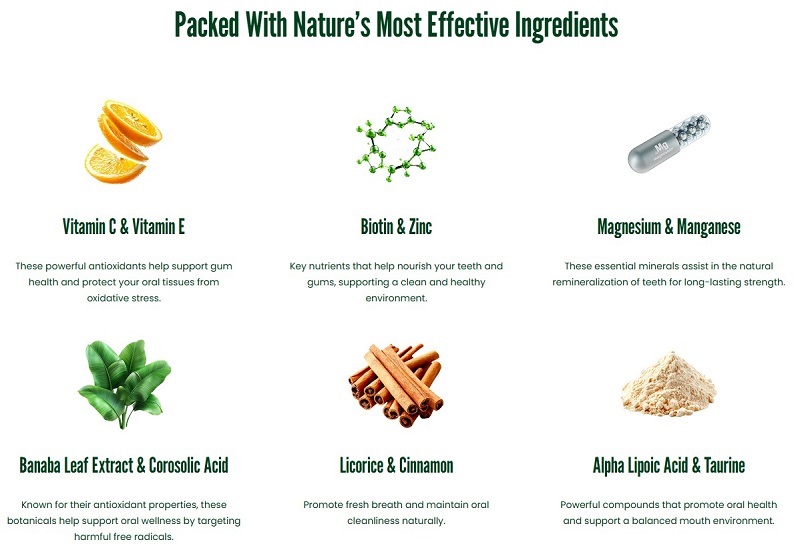 Oradentum Reviews - Key Ingredients
