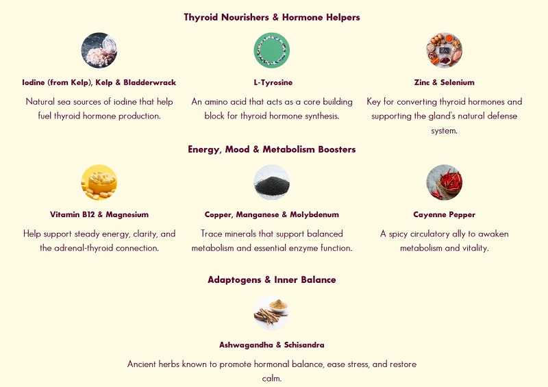 Thyrafemme Balance Reviews - Key Ingredients